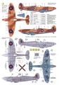 tm48024B-2.JPG