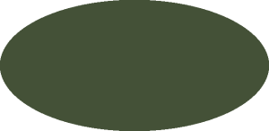 BILMODEL 213 - GREEN FS34102 - Farba do aerografu 20ml typ-C
