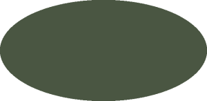 BILMODEL 054 DECK GREEN FS34108 - Farba do aerografu 20ml typ-C