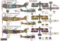 KPM0400_kamo[1].jpg