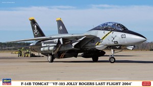 1:72 Grumman F-14 D TOMCAT - Hasegawa 02434