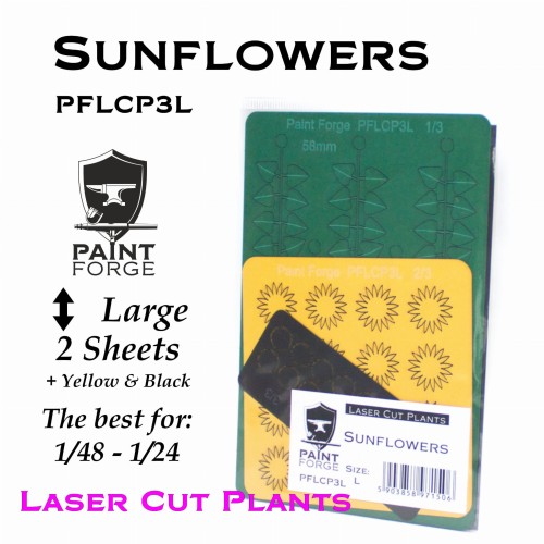 PFLCP3L-Sunflowers[1].jpg