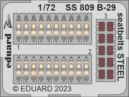 SS809