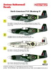 1:48 Kalkomanie P-51 MUSTANG III - Techmod 48033