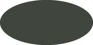 BILMODEL 282 COLORE 2 VERDE OLIVA SCURO 1941 - Farba do aerografu 20ml  typ-C
