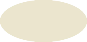 BILMODEL 285 COLORE 5 BIANCO AVORIO 1930 1941 - Farba do aerografu 20ml  typ-C