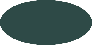 BILMODEL 289 COLORE 9 VERDE AZZURRO SCURO - Farba do aerografu 20ml  typ-C