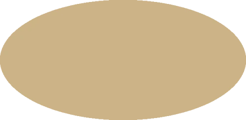 BILM290.png