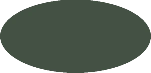 BILMODEL 293 COLORE 13 VERDE MIMETICO 1916-36 - Farba do aerografu 20ml  typ-C