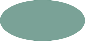 BILMODEL 295 COLORE 15 VERDE AZZURRO CHIARO - Farba do aerografu 20ml  typ-C
