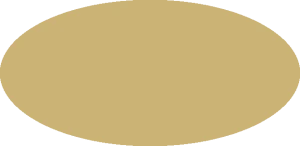 BILMODEL 296 COLORE 16 GIALLO MIMETICO 1938 - Farba do aerografu 20ml  typ-C
