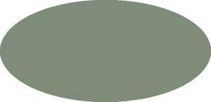 BILMODEL 298 COLORE 18 VERNICE PER INTERNISUBALARE - Farba do aerografu 20ml  typ-C