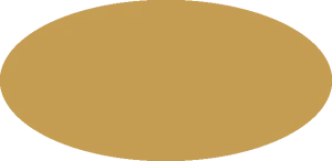 BILMODEL 299 COLORE 19 GIALLO MIMETICO 1936 - Farba do aerografu 20ml  typ-C