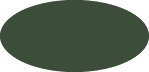 BILMODEL 300 COLORE 20 VERDE MIMETICO 1916 - Farba do aerografu 20ml  typ-C