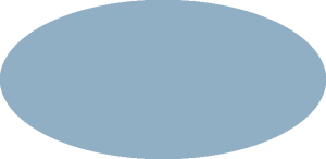 BILMODEL 309 COLORE 29 AZZURRO CELESTE O.R. REGGIANE 1940-41 - Farba do aerografu 20ml  typ-C