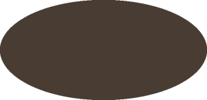 BILMODEL 310 COLORE 30 TERRA D'OMBRA - Farba do aerografu 20ml  typ-C