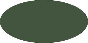 BILMODEL 313 COLORE 9 VERDE (ANCHE VERDE MIMETICO 1936) - Farba do aerografu 20ml  typ-C