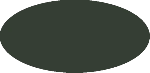 BILMODEL 319 COLORE 39 VERDE SCURO MIMETICO (Macchi 1940) - Farba do aerografu 20ml  typ-C