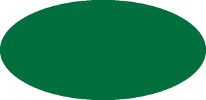 BILMODEL 323 MINT GREEN POLIZEI RAL 6029 - Farba do aerografu 20ml  typ-C