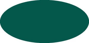 BILMODEL 324 PEARL OPAL GREEN POLIZEI RAL 6036 - Farba do aerografu 20ml  typ-C