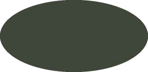 BILMODEL 380 RAF DARK GREEN BS 381C:241 - Farba do aerografu 20ml  typ-C