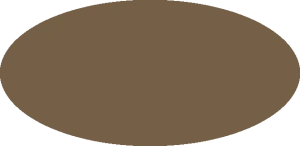 BILMODEL 381 RAF DARK EARTH BS 381C:350 - Farba do aerografu 20ml  typ-C