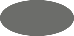 BILMODEL 383 HAVE GLASS GREY CAMOUFLAGE GREY FS 36170 - Farba do aerografu 20ml  typ-C