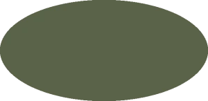BILMODEL 384 FIELD GREEN FS34097 - Farba do aerografu 20ml  typ-C