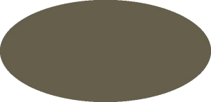 BILMODEL 387 OLIVE DRAB Wietnam FS34088 - Farba do aerografu 20ml  typ-C