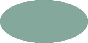 BILMODEL 389 FS34325 FS34272 - Farba do aerografu 20ml  typ-C