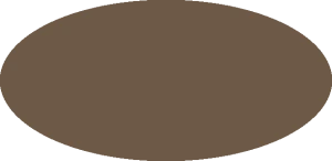 BILMODEL 396 RAF DARK EARTH BS381C:450 C369 - Farba do aerografu 20ml  typ-C