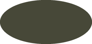 BILMODEL 398 RAF DARK GREEN BS381C:641 C361 - Farba do aerografu 20ml  typ-C