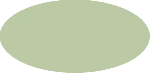 BILMODEL 395 RAF SKY TYPE S BS381C:210 - Farba do aerografu 20ml  typ-C
