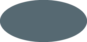 BILMODEL 399 RAF OCEAN GREY BS381C:629 - Farba do aerografu 20ml  typ-C