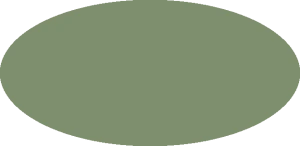 BILMODEL 401 RAF AIRCRAFT GREY GREEN BS381C:283 - Farba do aerografu 20ml  typ-C