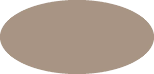 BILMODEL 242 BEIGE 73096 - Farba do aerografu 20ml  typ-C