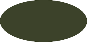 BILMODEL 146 OLIVE GREEN 325 - Farba do aerografu 20ml  typ-C