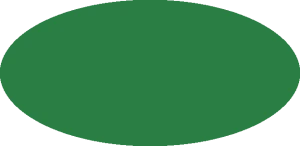 BILMODEL 168 RADIOTRANSPARENT GREEN 73060 - Farba do aerografu 20ml  typ-C
