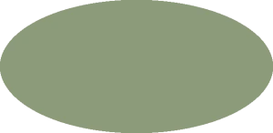 BILMODEL 268 PALE GREEN 73054 - Farba do aerografu 20ml  typ-C