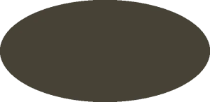 BILMODEL 279 DARK GREEN C-295 CZECH AF - Farba do aerografu 20ml  typ-C