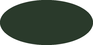 BILMODEL 421 DARK GREEN Mitsubishi - Farba do aerografu 20ml  typ-C