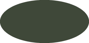 BILMODEL 422 IJN GREEN Nakajima - Farba do aerografu 20ml  typ-C