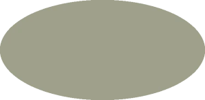 BILMODEL 424 IJN GRAY GREEN - Farba do aerografu 20ml  typ-C