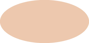 BILMODEL 427 DESERT SAND ANA 616 FS30279 - Farba do aerografu 20ml  typ-C
