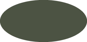 BILMODEL 429 USAF GREEN FS34092 - Farba do aerografu 20ml  typ-C