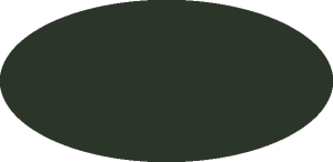 BILMODEL 506 DEEP BRONZE GREEN BS 381C:224 - Farba do aerografu 20ml typ-C