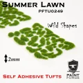 PFTU0249-WILD-Summer-Lawn