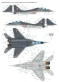 tm48119-9.jpg