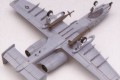 academy12402-4.jpg