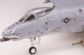 academy12402-3.jpg